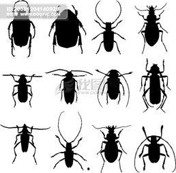 剪影欧美素材视频下载,捕捉光影之美