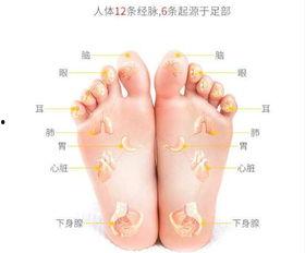 脚部按摩欧美视频,跟随欧美视频学习专业脚部按摩技巧