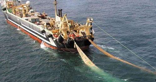 欧美渔船捕鱼视频大全,海洋捕捞的震撼与真实