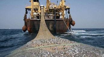 欧美渔船捕鱼视频大全,海洋捕捞的震撼与真实