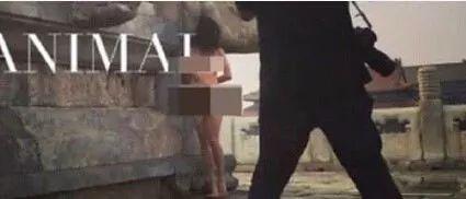 欧美成人涩涩视频,揭秘激情背后的真实故事