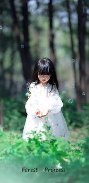 神女吟唱欧美视频,探寻欧美音乐视频中的神秘魅力