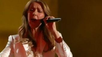 狥交欧美视频,一场视觉与情感的盛宴